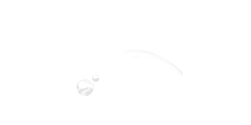 TLC Softwash logo light
